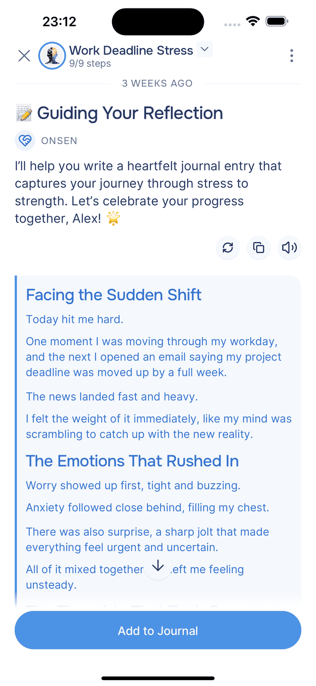 Journal entry from the experience