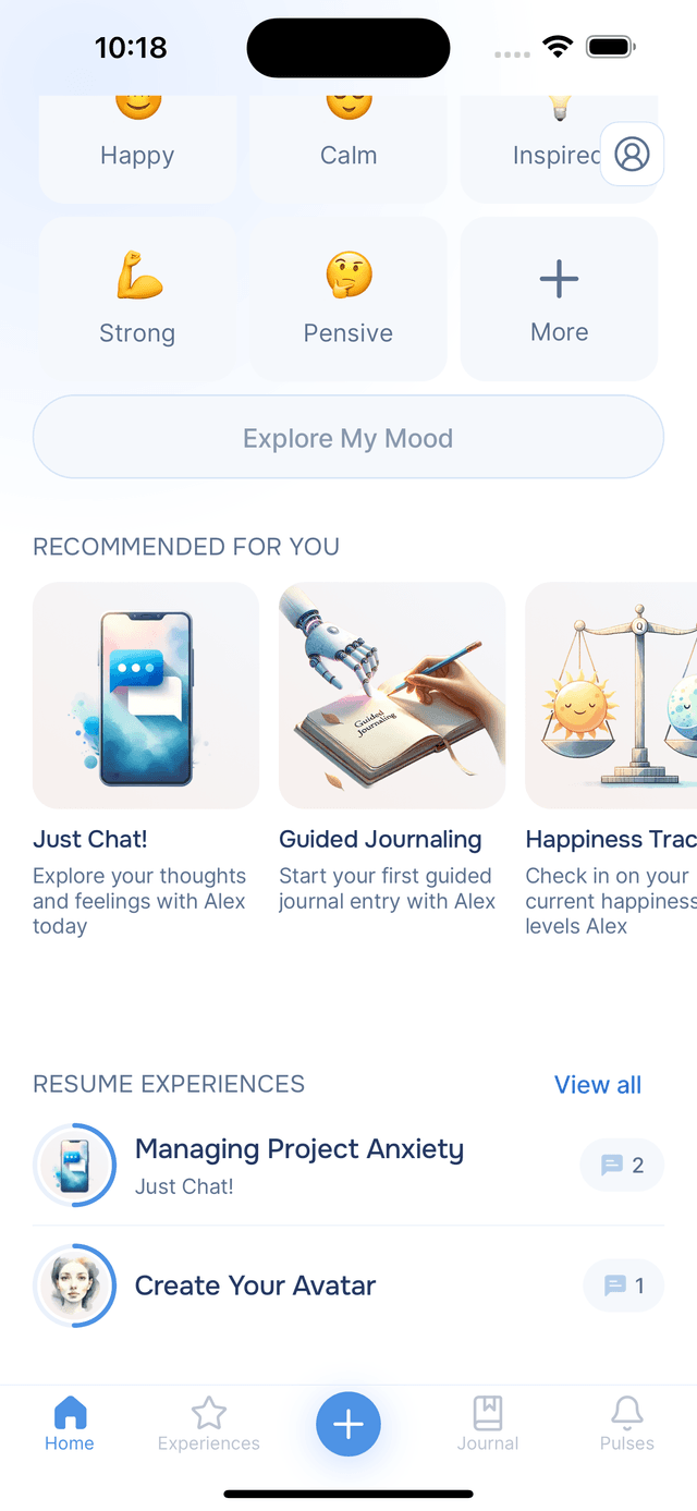 Resume Experiences section below recommendations