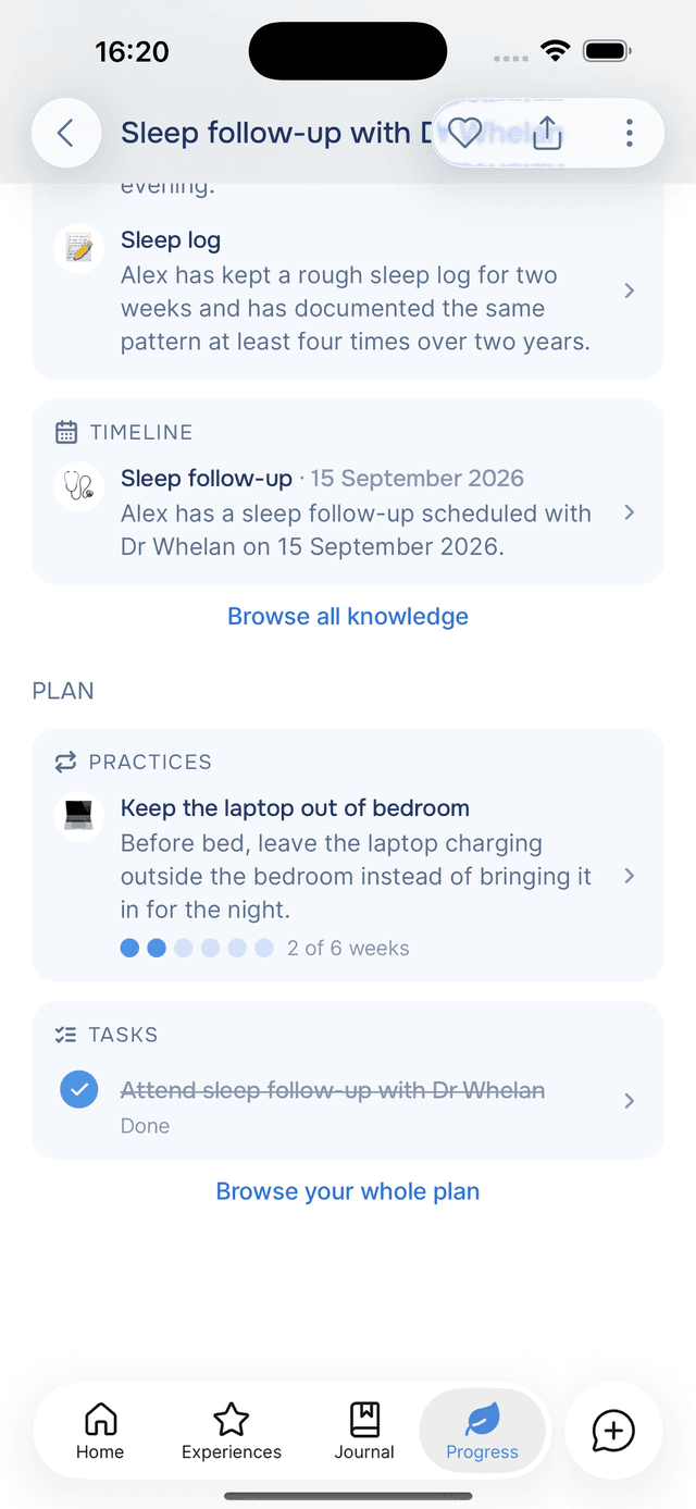 The entry's own Plan section